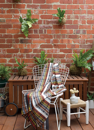 BLANKETS - CHECK IT OUT - MERINO - -